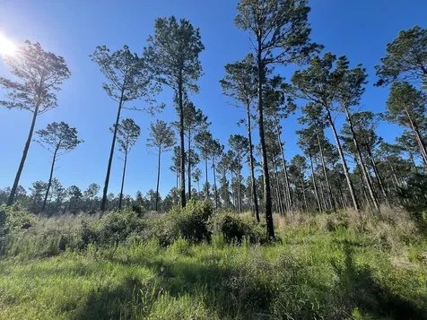 T-8 Fountain Creek Road Groveton TX 75845