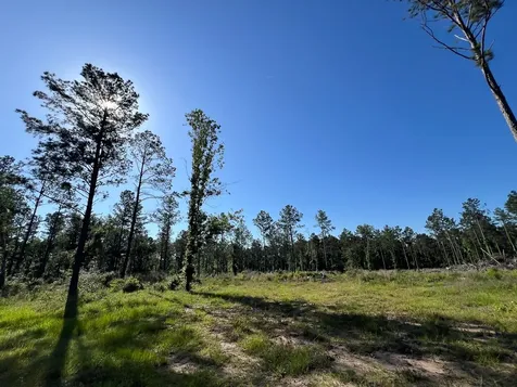 T-8 Fountain Creek Road Groveton TX 75845