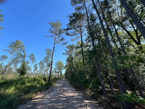 T-8 Fountain Creek Road Groveton TX 75845