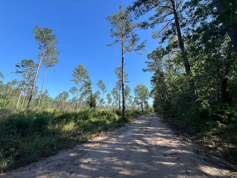 T-8 Fountain Creek Road Groveton TX 75845