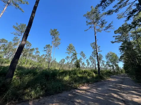 T-8 Fountain Creek Road Groveton TX 75845