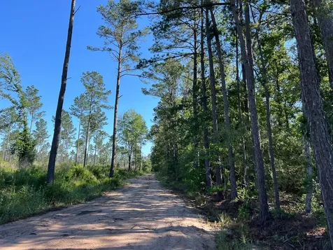 T-8 Fountain Creek Road Groveton TX 75845