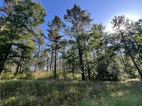T-8 Fountain Creek Road Groveton TX 75845