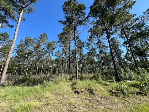 T-8 Fountain Creek Road Groveton TX 75845