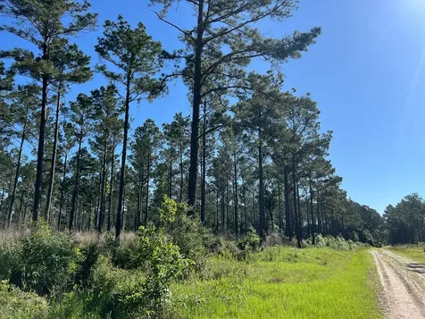 T-8 Fountain Creek Road Groveton TX 75845