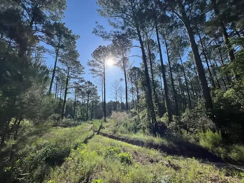 T-8 Fountain Creek Road Groveton TX 75845