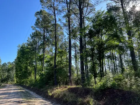 T-8 Fountain Creek Road Groveton TX 75845