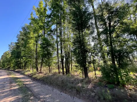 T-8 Fountain Creek Road Groveton TX 75845