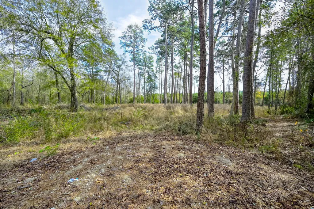 480 County Road 3188 Cleveland TX 77327