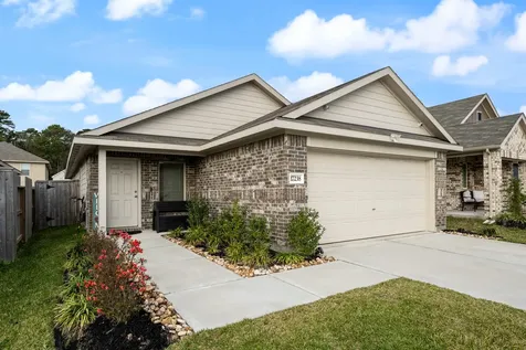 17238 Black Ash Court New Caney TX 77357