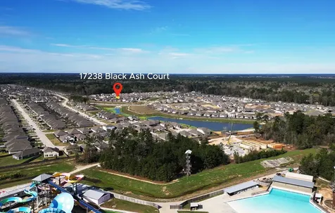 17238 Black Ash Court New Caney TX 77357