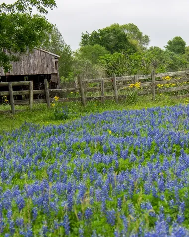 31026 Vintage Creek Lane Fulshear TX 77441