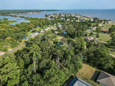 182 Yaupon Creek Onalaska TX 77360