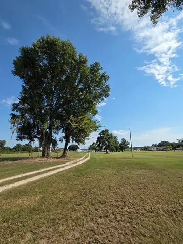0 S Skains Chapel Road Trinity TX 75862-6823