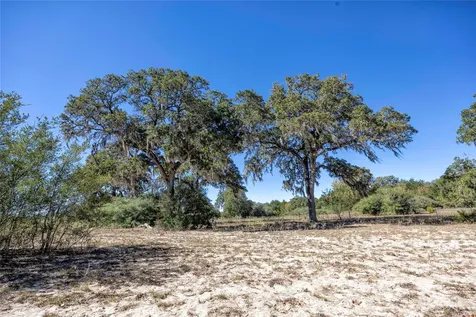 3550 County Road 387 Hallettsville TX 77964