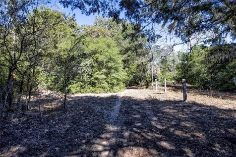 3550 County Road 387 Hallettsville TX 77964