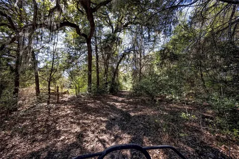 3550 County Road 387 Hallettsville TX 77964