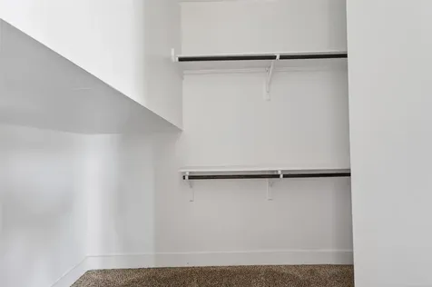 1202 Cedarpost Tree Springs Place Houston TX 77055