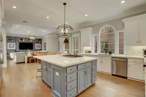 17 Shetland Isle Court Sugar Land TX 77479