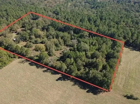 695 County Road 3350 Crockett TX 75835