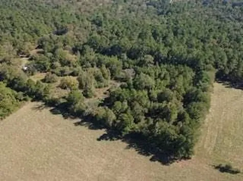 695 County Road 3350 Crockett TX 75835