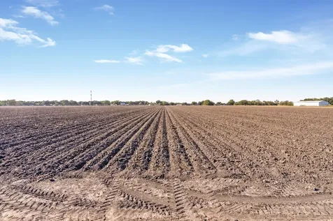 TBD02 Scroggins Road Wallis TX 77485