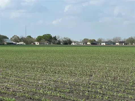 TBD02 Scroggins Road Wallis TX 77485