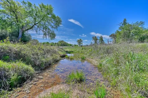 32.75 Acres Fm 3371 Groesbeck TX 76642