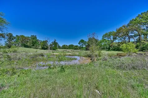 32.75 Acres Fm 3371 Groesbeck TX 76642