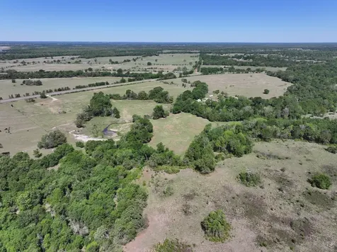32.75 Acres Fm 3371 Groesbeck TX 76642