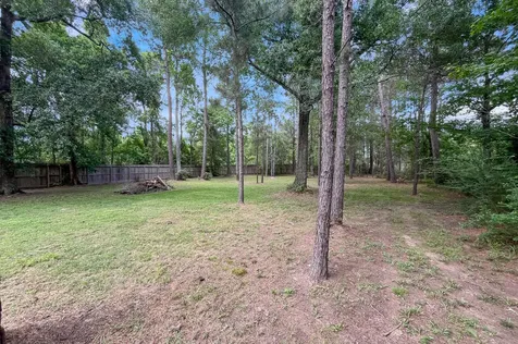 409 Ridgelake Scenic Drive Montgomery TX 77316