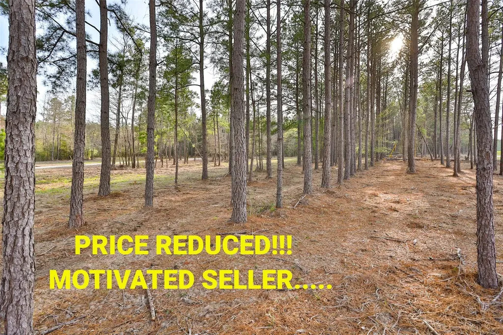 450 Williamson Way Way Lovelady TX 75851