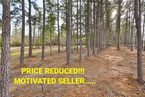 450 Williamson Way Way Lovelady TX 75851