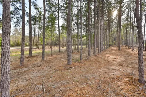 450 Williamson Way Way Lovelady TX 75851