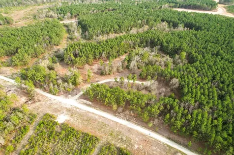450 Williamson Way Way Lovelady TX 75851