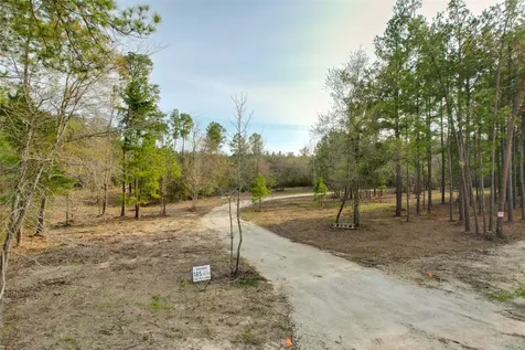 450 Williamson Way Way Lovelady TX 75851