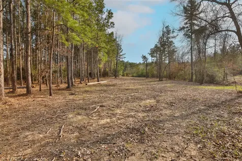 450 Williamson Way Way Lovelady TX 75851