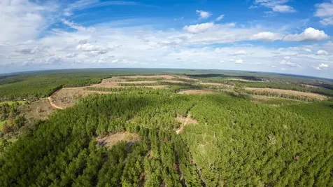 462 Timber Road Livingston TX 77351