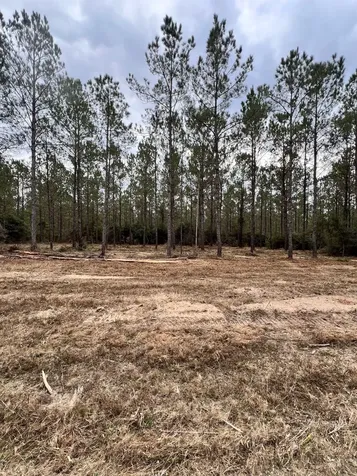 462 Timber Road Livingston TX 77351