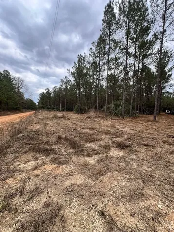 462 Timber Road Livingston TX 77351
