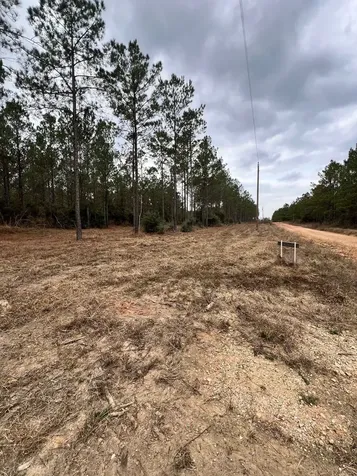 462 Timber Road Livingston TX 77351