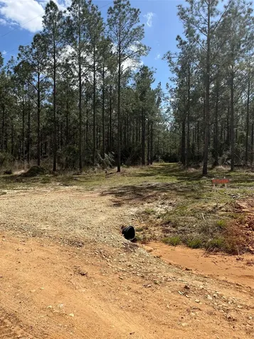 462 Timber Road Livingston TX 77351