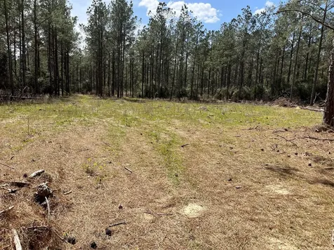462 Timber Road Livingston TX 77351