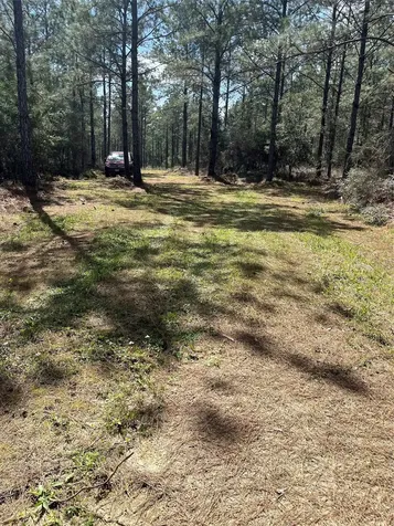 462 Timber Road Livingston TX 77351