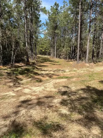 462 Timber Road Livingston TX 77351