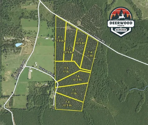 462 Timber Road Livingston TX 77351