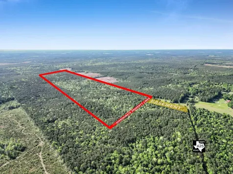 0000 County Road 425 Kirbyville TX 75956