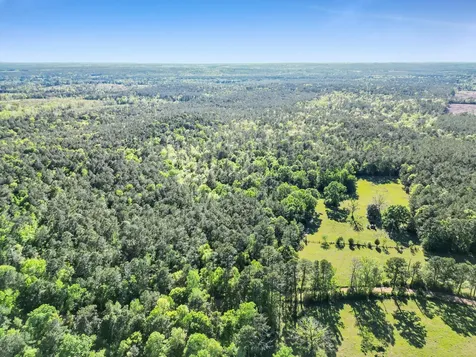 0000 County Road 425 Kirbyville TX 75956