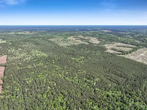 0000 County Road 425 Kirbyville TX 75956