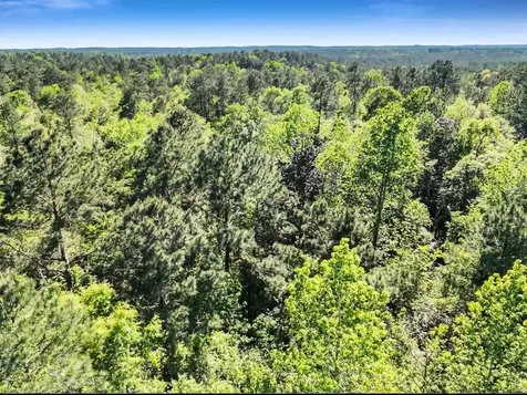 0000 County Road 425 Kirbyville TX 75956